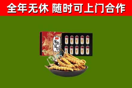 南明回收冬虫夏草价格