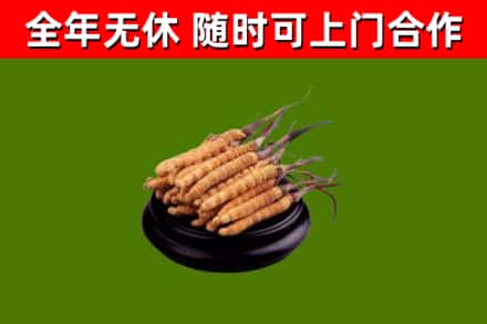 南明烟酒回收冬虫夏草.jpg
